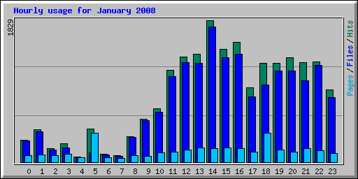 Hourly usage for January 2008